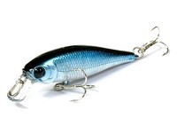 Pointer 48