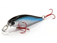 Pointer 48 SP