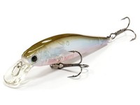 Pointer 65