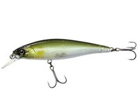 Squad Minnow
