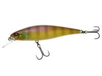Squad Minnow 80