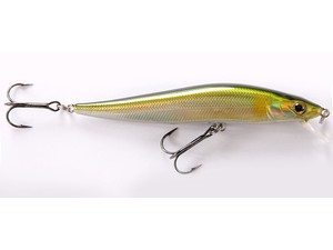 Pike hunter