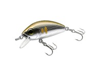 L-minnow