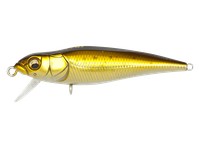 FX6.6 SP