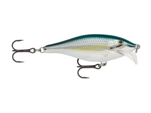 Scatter Rap Shad