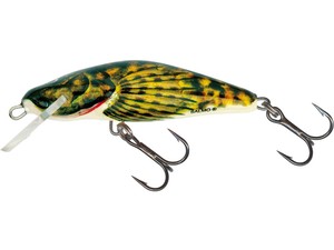 Bullhead