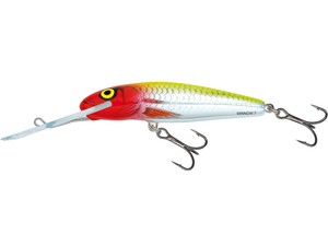 Minnow