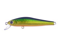 Rigge 56 F