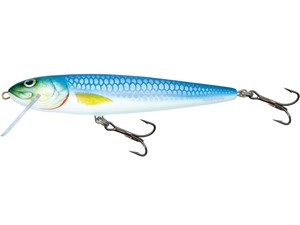 Whitefish