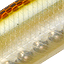 цвет TPP