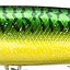 цвет GREEN MACKEREL