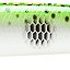 цвет Muddler minnow