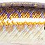 цвет S104