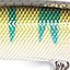 цвет S44