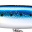 цвет SARDINE