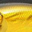 цвет GG MEGABASS KINKURO
