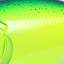 цвет 09